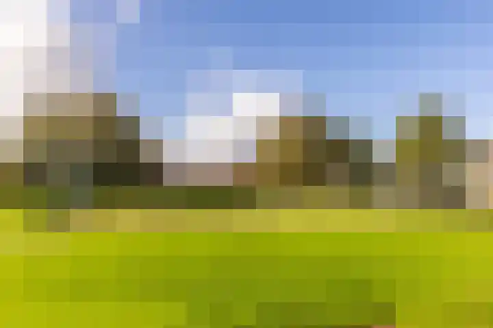 Harp 4 Klaaswaal thumbnail 38