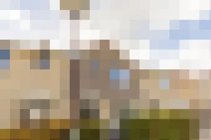 Harp 4 Klaaswaal thumbnail 39
