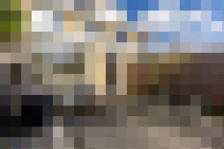 Harp 4 Klaaswaal thumbnail 4