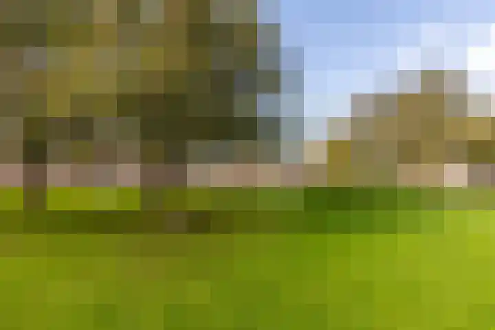 Harp 4 Klaaswaal thumbnail 40