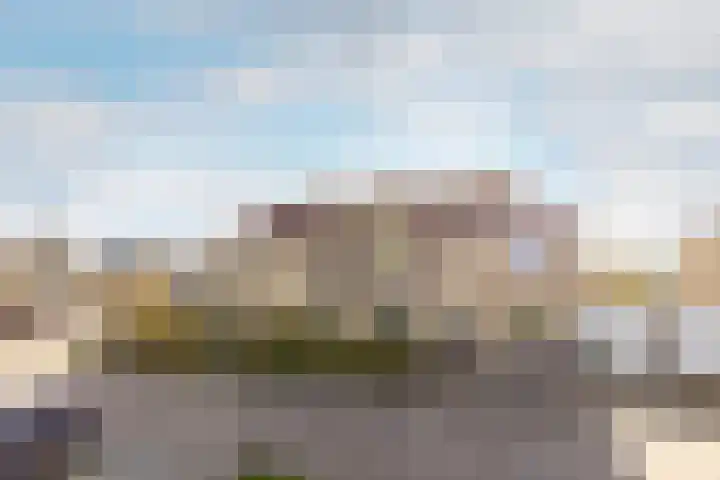 Harp 4 Klaaswaal thumbnail 41