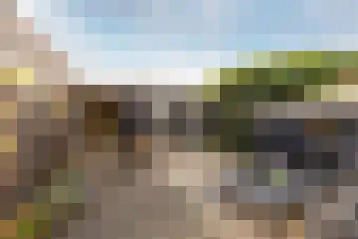 Harp 4 Klaaswaal thumbnail 5