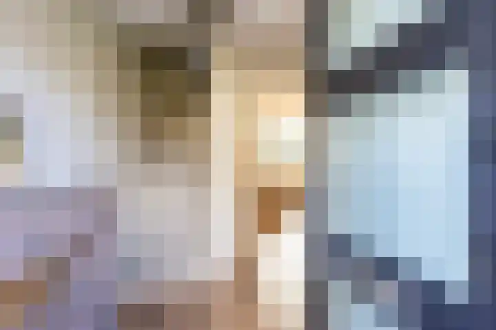Harp 4 Klaaswaal thumbnail 6