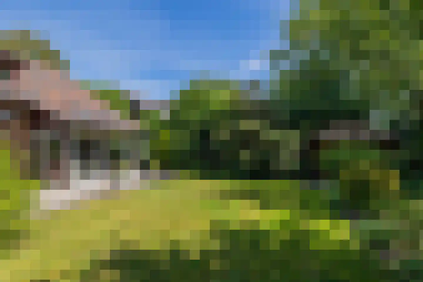 Harp 9 Bennebroek thumbnail 20