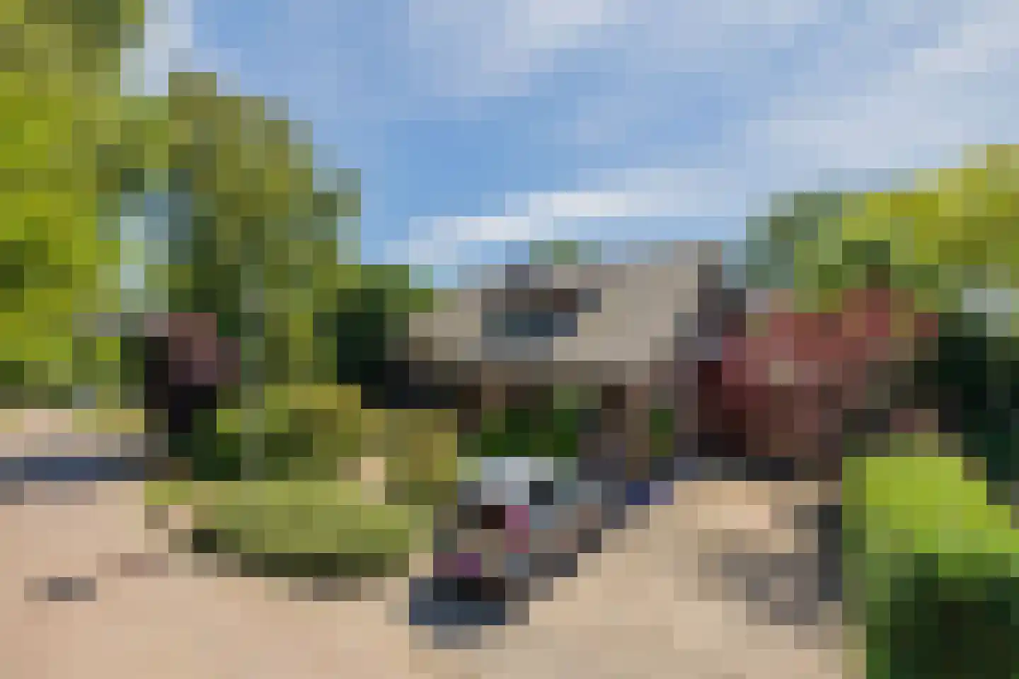 Harp 9 Bennebroek thumbnail 5