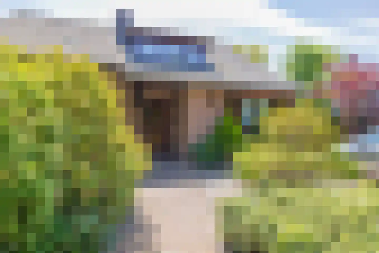 Harp 9 Bennebroek thumbnail 6