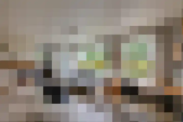 Harpdreef 22 Etten-Leur thumbnail 10