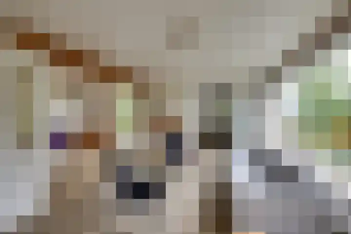 Harpdreef 22 Etten-Leur thumbnail 11