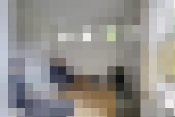 Harpdreef 22 Etten-Leur thumbnail 12