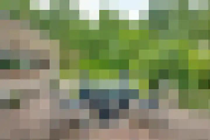 Harpdreef 22 Etten-Leur thumbnail 15