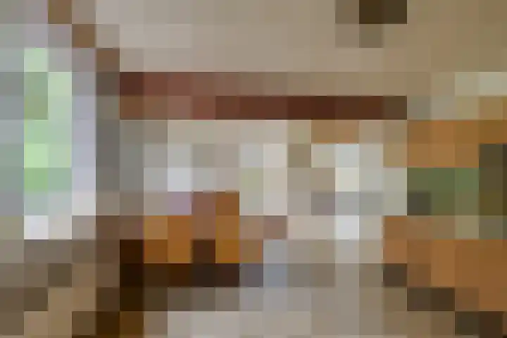 Harpdreef 22 Etten-Leur thumbnail 17