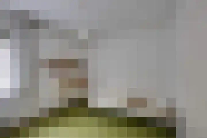 Harpdreef 22 Etten-Leur thumbnail 26