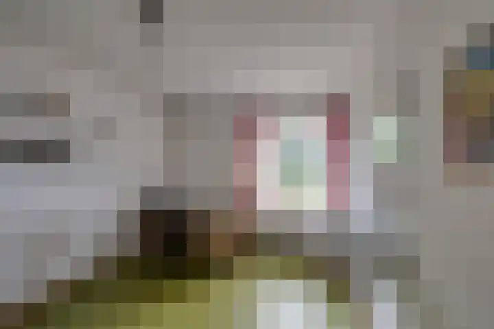 Harpdreef 22 Etten-Leur thumbnail 29