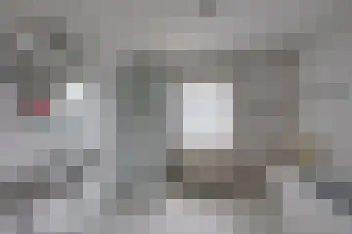 Harpdreef 22 Etten-Leur thumbnail 30