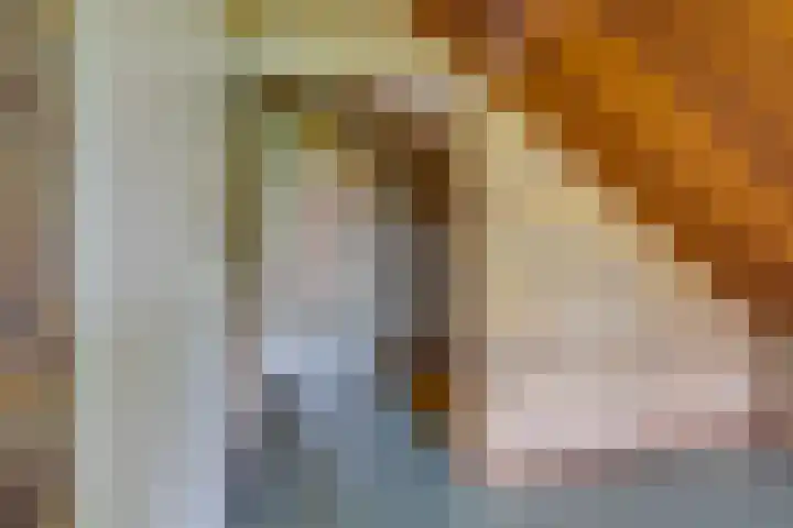 Harpdreef 22 Etten-Leur thumbnail 34