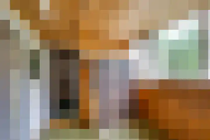 Harpdreef 22 Etten-Leur thumbnail 37