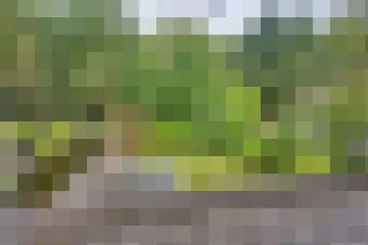 Harpdreef 22 Etten-Leur thumbnail 38