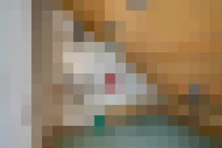 Harpdreef 22 Etten-Leur thumbnail 39