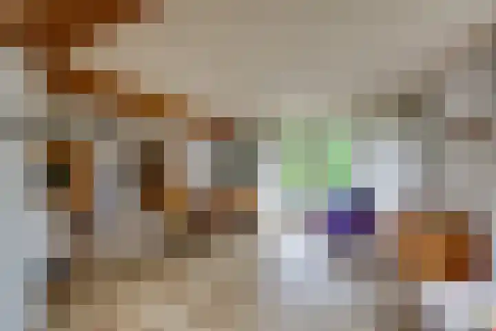 Harpdreef 22 Etten-Leur thumbnail 4