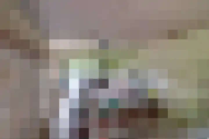 Harpdreef 22 Etten-Leur thumbnail 42