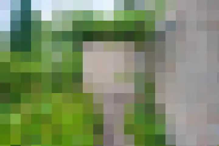 Harpdreef 22 Etten-Leur thumbnail 45
