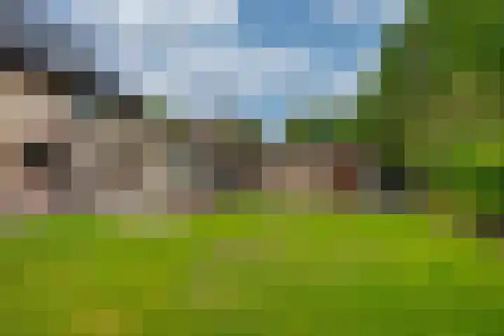 Harpdreef 22 Etten-Leur thumbnail 47