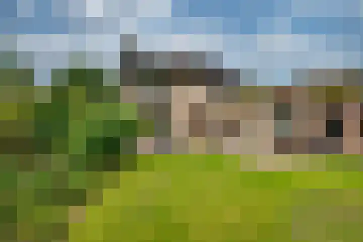 Harpdreef 22 Etten-Leur thumbnail 48