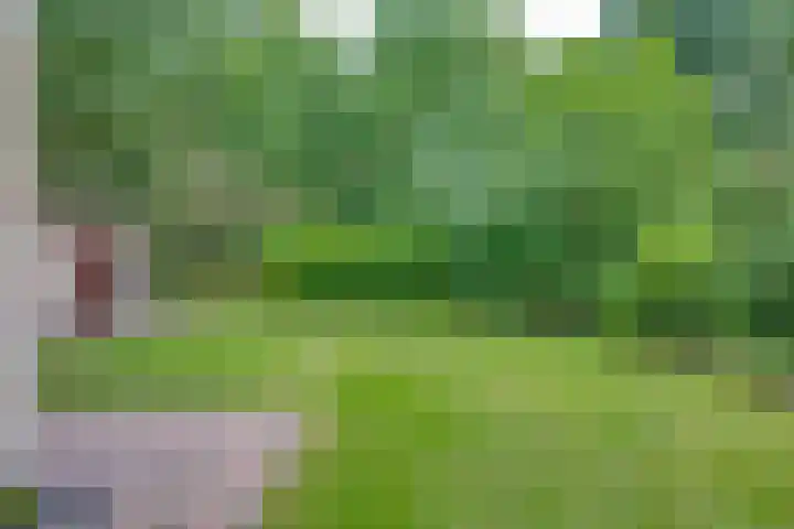 Harpdreef 22 Etten-Leur thumbnail 49