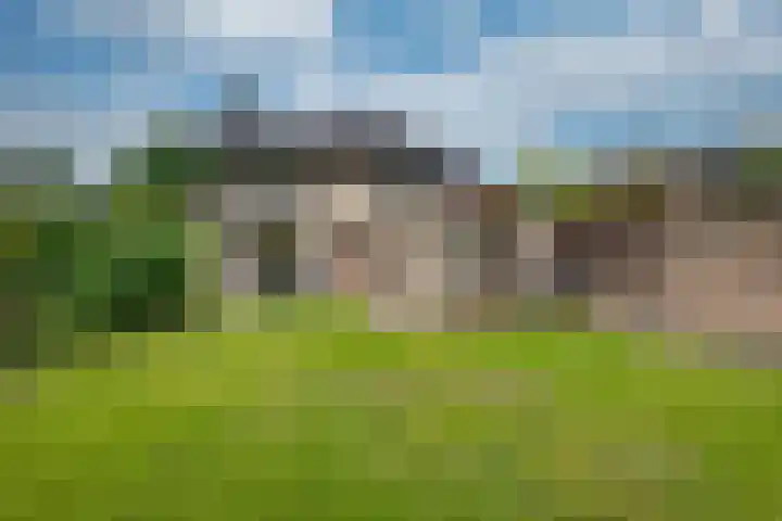 Harpdreef 22 Etten-Leur thumbnail 5