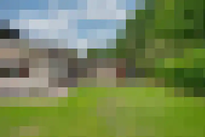 Harpdreef 22 Etten-Leur thumbnail 50