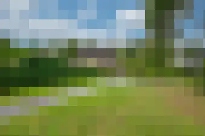 Harpdreef 22 Etten-Leur thumbnail 52
