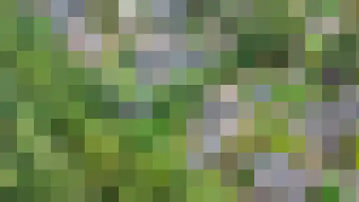 Harpdreef 22 Etten-Leur thumbnail 55