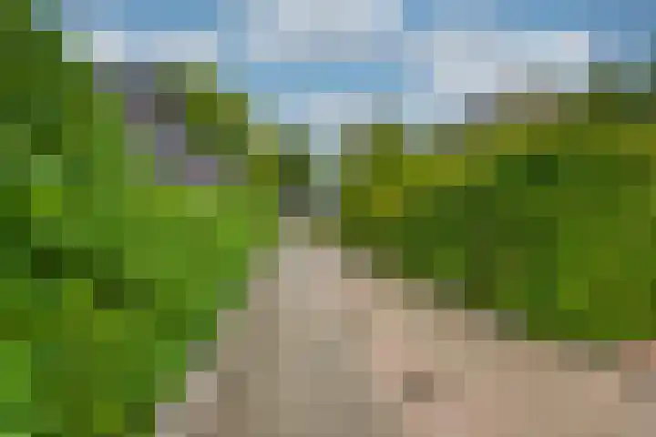 Harpdreef 22 Etten-Leur thumbnail 56