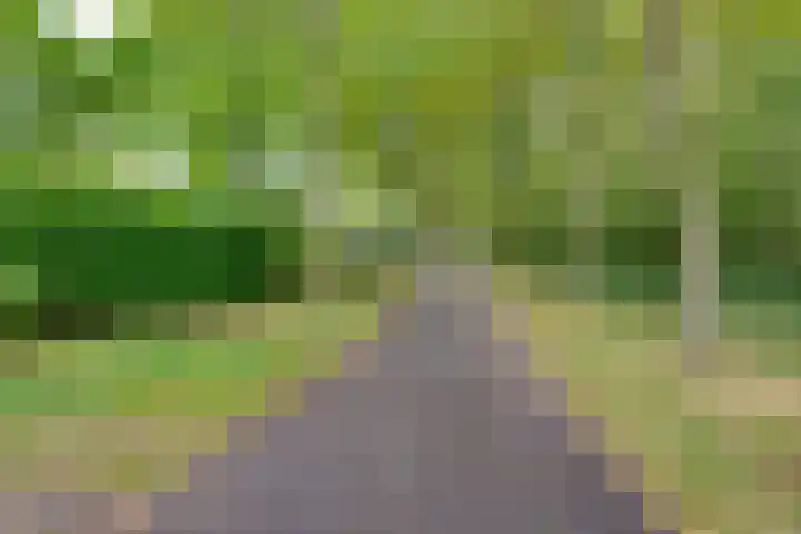 Harpdreef 22 Etten-Leur thumbnail 57