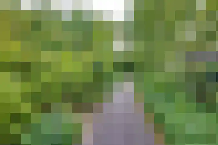 Harpdreef 22 Etten-Leur thumbnail 58