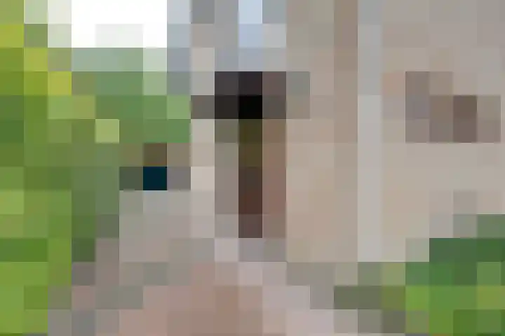 Harpdreef 22 Etten-Leur thumbnail 7