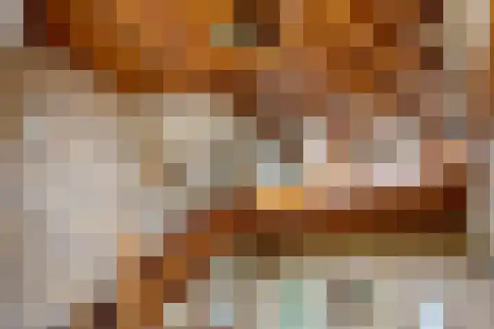 Harpdreef 22 Etten-Leur thumbnail 9