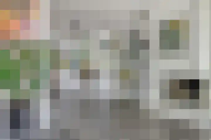 Harpdreef 8 Etten-Leur thumbnail 10