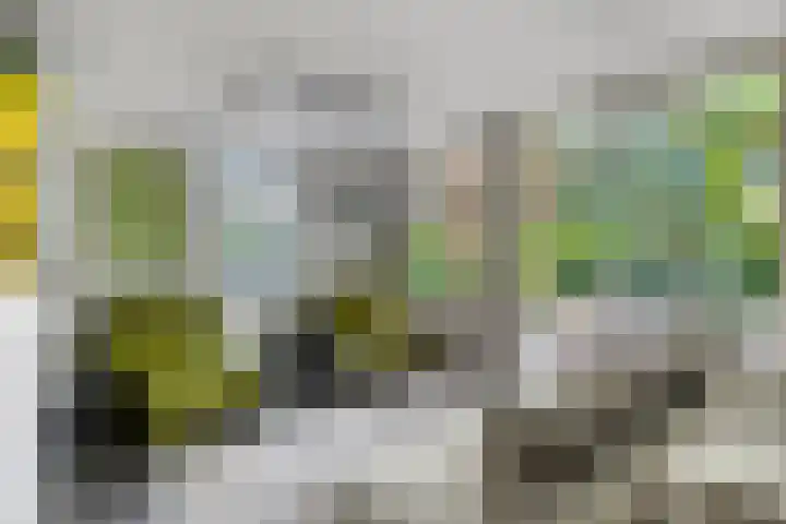 Harpdreef 8 Etten-Leur thumbnail 14