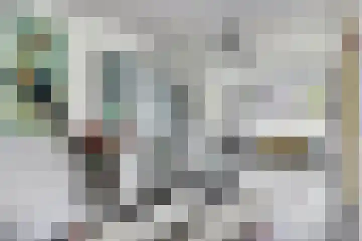 Harpdreef 8 Etten-Leur thumbnail 16