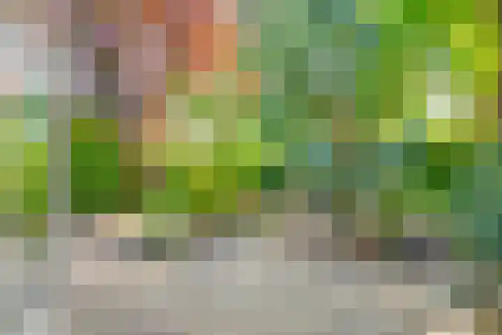 Harpdreef 8 Etten-Leur thumbnail 20