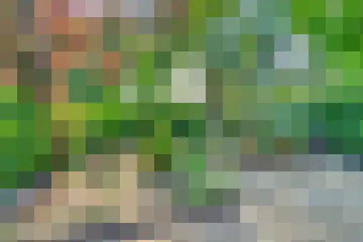 Harpdreef 8 Etten-Leur thumbnail 21