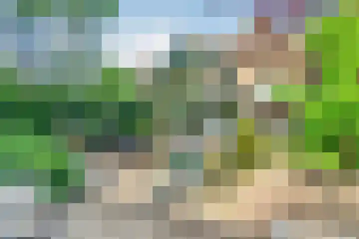Harpdreef 8 Etten-Leur thumbnail 22