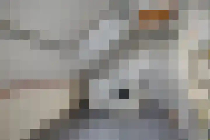Harpdreef 8 Etten-Leur thumbnail 31