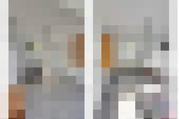 Harpdreef 8 Etten-Leur thumbnail 33