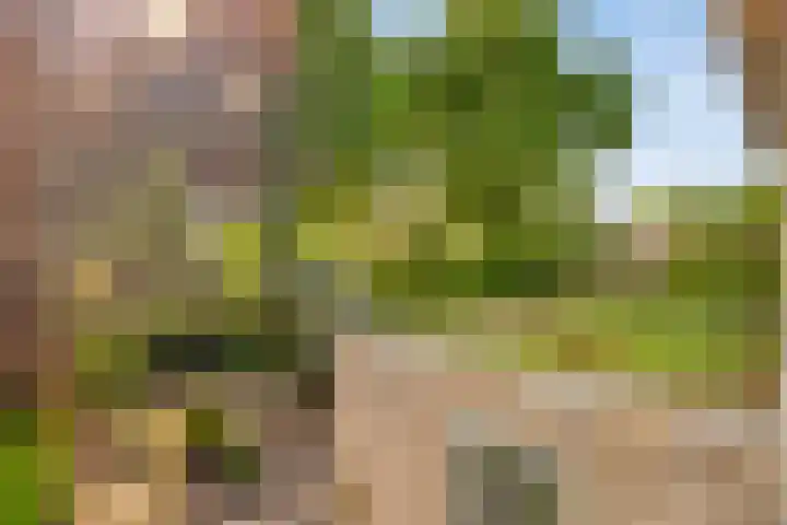 Harpdreef 8 Etten-Leur thumbnail 36