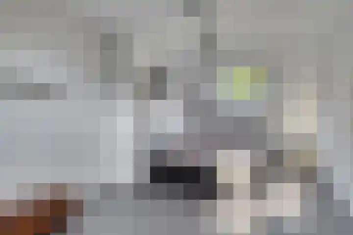 Harpdreef 8 Etten-Leur thumbnail 5