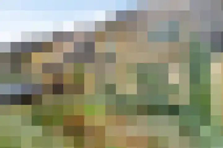 Harpdreef 8 Etten-Leur thumbnail 7