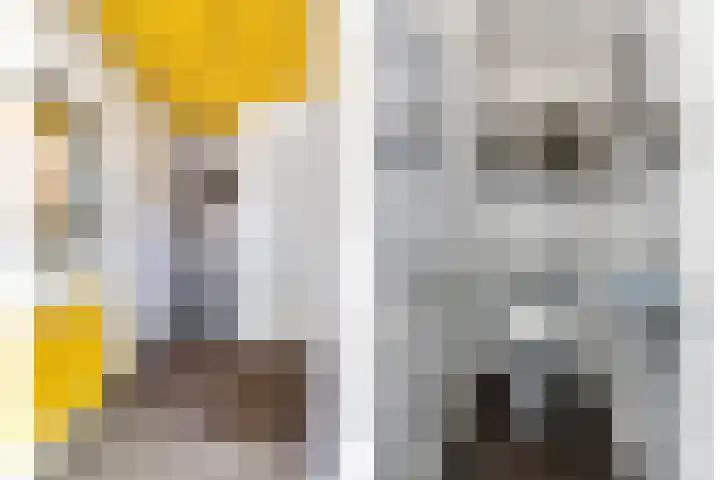 Harpdreef 8 Etten-Leur thumbnail 8