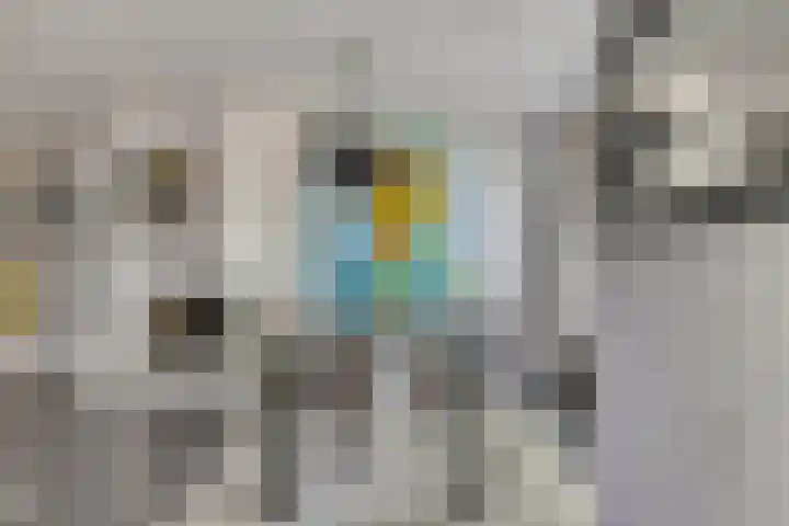 Harpdreef 8 Etten-Leur thumbnail 9